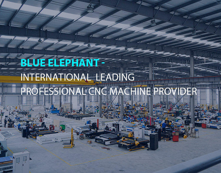 About elephant laser